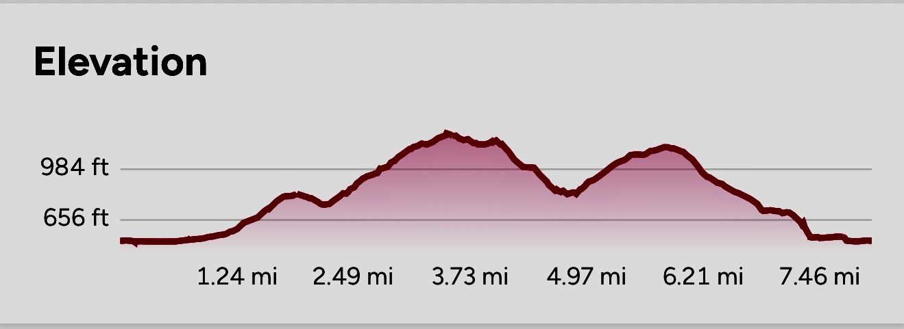 Elevation Profile